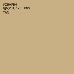 #C9AF84 - Tan Color Image