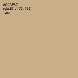 #C9AF87 - Tan Color Image