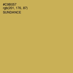 #C9B057 - Sundance Color Image