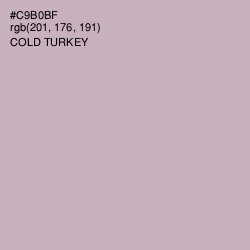 #C9B0BF - Cold Turkey Color Image