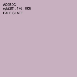 #C9B0C1 - Pale Slate Color Image