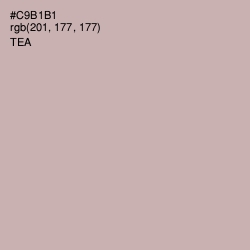 #C9B1B1 - Tea Color Image