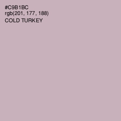 #C9B1BC - Cold Turkey Color Image