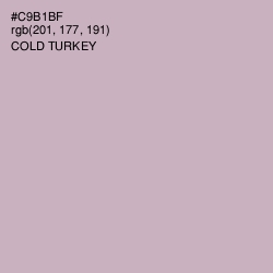 #C9B1BF - Cold Turkey Color Image