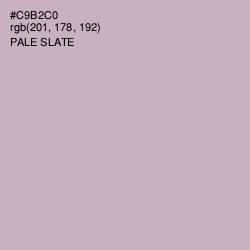 #C9B2C0 - Pale Slate Color Image