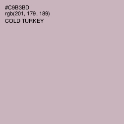 #C9B3BD - Cold Turkey Color Image