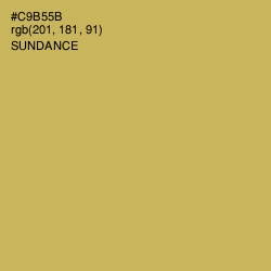 #C9B55B - Sundance Color Image