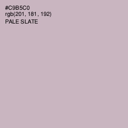 #C9B5C0 - Pale Slate Color Image