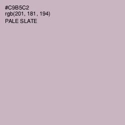 #C9B5C2 - Pale Slate Color Image