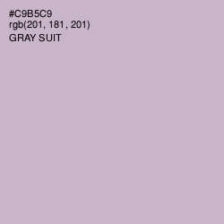 #C9B5C9 - Gray Suit Color Image