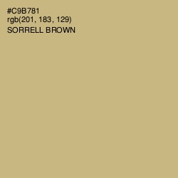 #C9B781 - Sorrell Brown Color Image