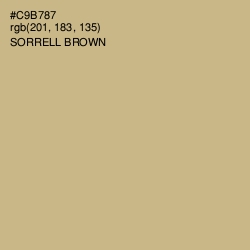 #C9B787 - Sorrell Brown Color Image