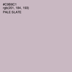 #C9B8C1 - Pale Slate Color Image