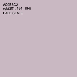 #C9B8C2 - Pale Slate Color Image