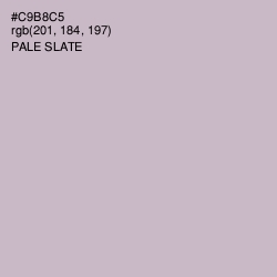 #C9B8C5 - Pale Slate Color Image