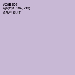 #C9B8D5 - Gray Suit Color Image