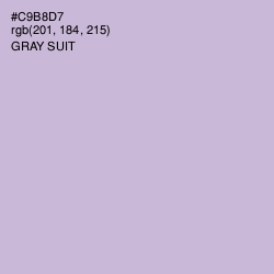 #C9B8D7 - Gray Suit Color Image