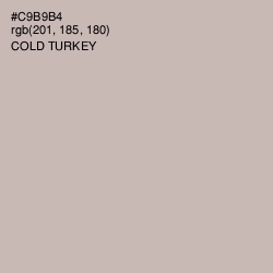 #C9B9B4 - Cold Turkey Color Image