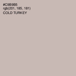 #C9B9B5 - Cold Turkey Color Image