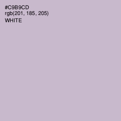 #C9B9CD - Gray Suit Color Image