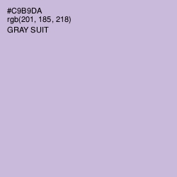 #C9B9DA - Gray Suit Color Image