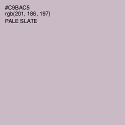 #C9BAC5 - Pale Slate Color Image