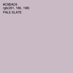 #C9BAC6 - Pale Slate Color Image