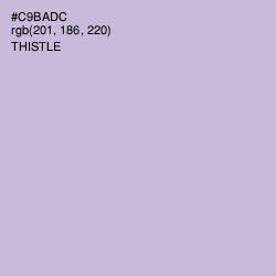 #C9BADC - Thistle Color Image
