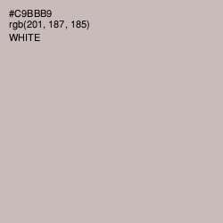 #C9BBB9 - Cold Turkey Color Image