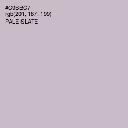 #C9BBC7 - Pale Slate Color Image