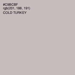 #C9BCBF - Cold Turkey Color Image
