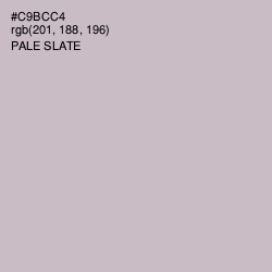 #C9BCC4 - Pale Slate Color Image