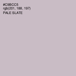 #C9BCC5 - Pale Slate Color Image