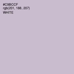 #C9BCCF - Gray Suit Color Image