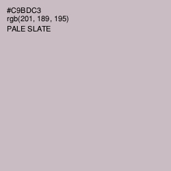 #C9BDC3 - Pale Slate Color Image