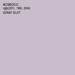 #C9BDCC - Gray Suit Color Image