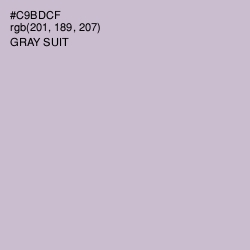 #C9BDCF - Gray Suit Color Image