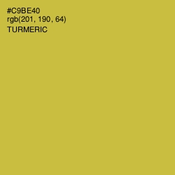 #C9BE40 - Turmeric Color Image