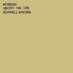 #C9BE80 - Sorrell Brown Color Image