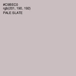 #C9BEC0 - Pale Slate Color Image