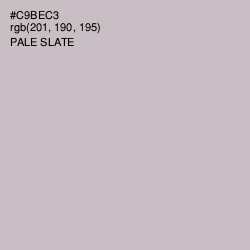 #C9BEC3 - Pale Slate Color Image