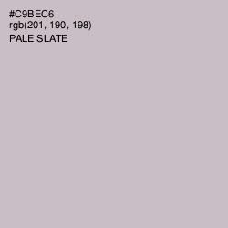 #C9BEC6 - Pale Slate Color Image