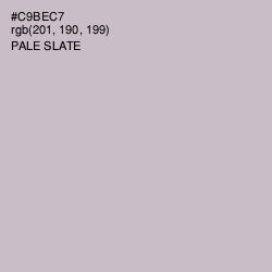 #C9BEC7 - Pale Slate Color Image
