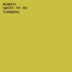 #C9BF41 - Turmeric Color Image