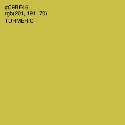 #C9BF46 - Turmeric Color Image