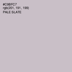 #C9BFC7 - Pale Slate Color Image