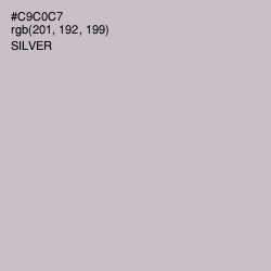 #C9C0C7 - Silver Color Image