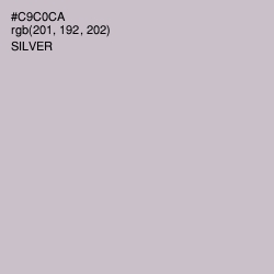 #C9C0CA - Silver Color Image