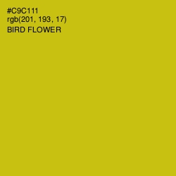 #C9C111 - Bird Flower Color Image