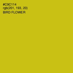 #C9C114 - Bird Flower Color Image
